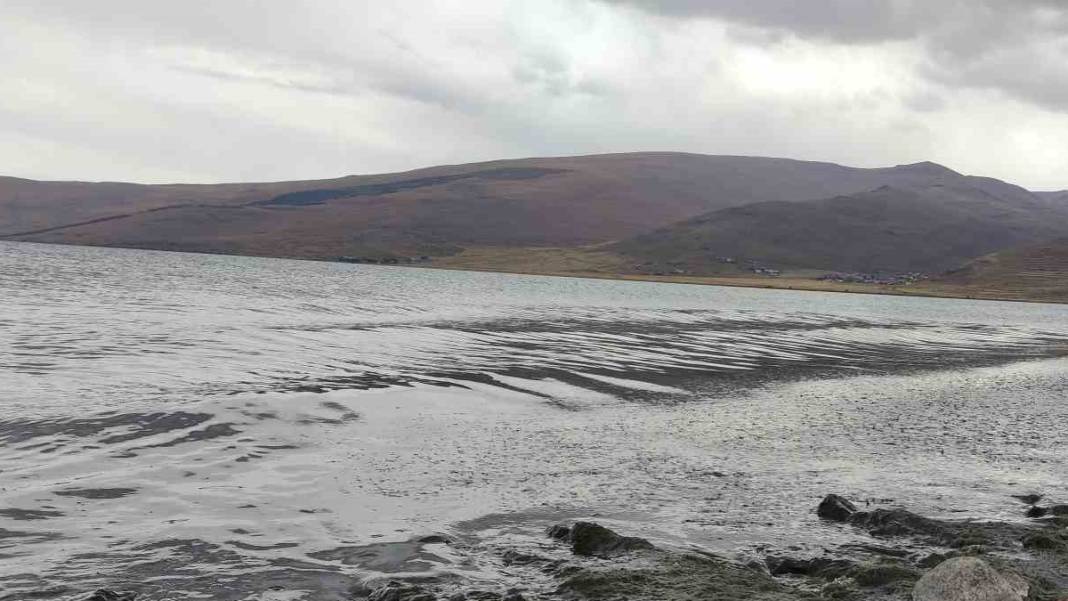 Doğu Anadolu'nun en büyük ikinci gölü yeşile büründü 2